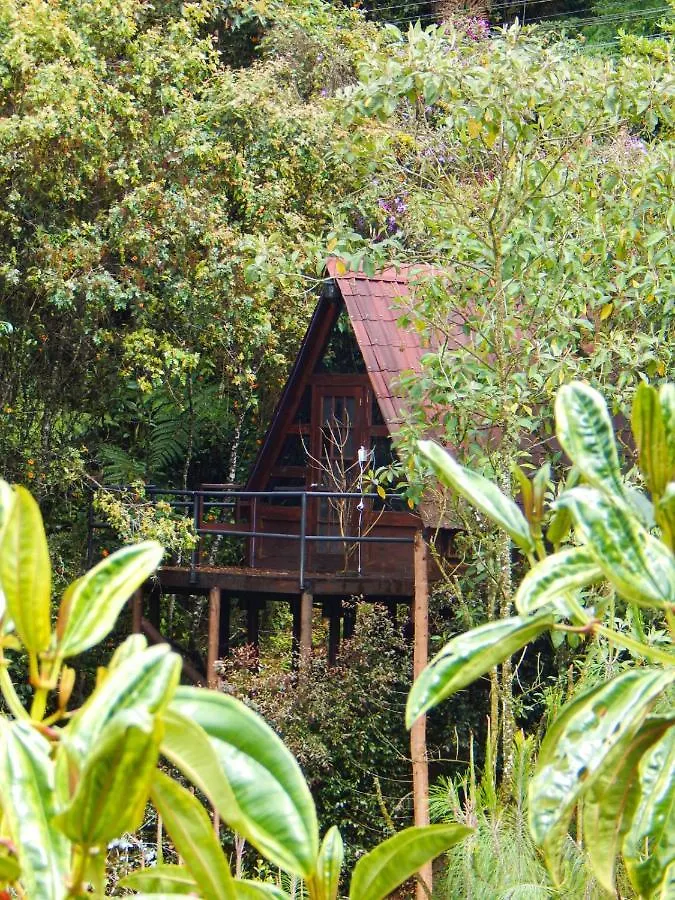 Chalets En Santa Elena En Medio Del Bosque Medellín