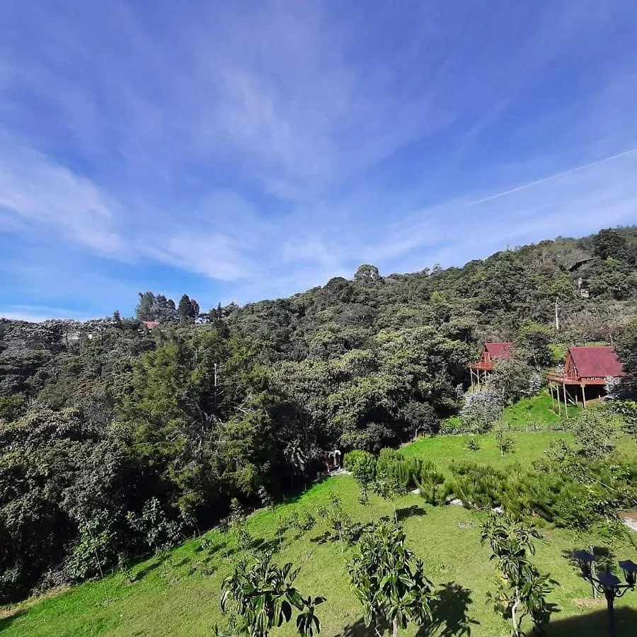 Prázdninový dům Chalets En Santa Elena En Medio Del Bosque Medellín Kolumbie