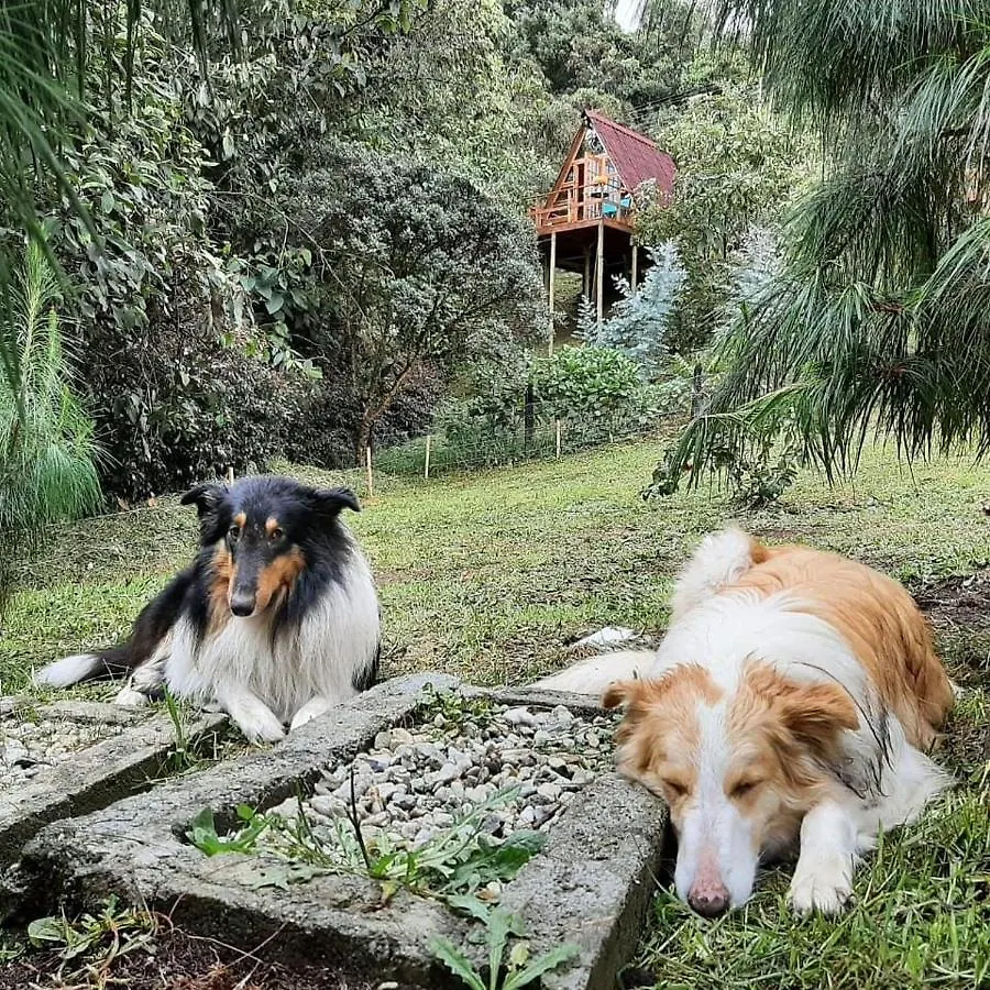 Prázdninový dům Chalets En Santa Elena En Medio Del Bosque Medellín